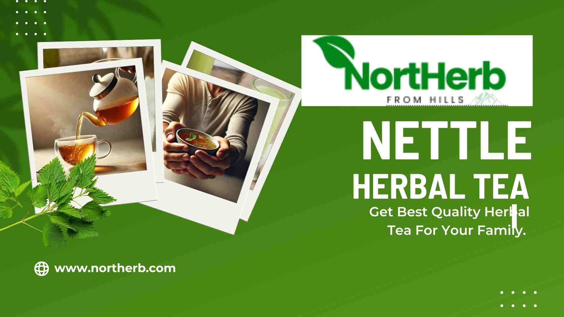 Nettle Tea: Uses, Benefits, Side Effects, Procedure